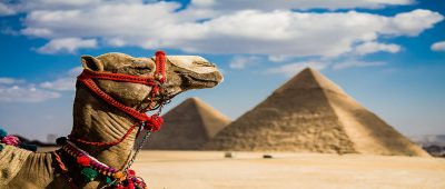 egypt-1-1-1 egypt-1-1-1